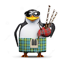 Mr Macca profile picture